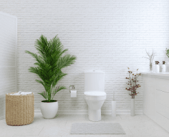 toilet in the north west corner 