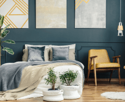 Plasma Membrane and Cell Wall